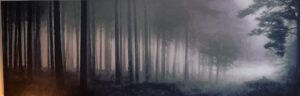 Forest painting in San Diego therapy office – symbol of courage and transformation in counseling